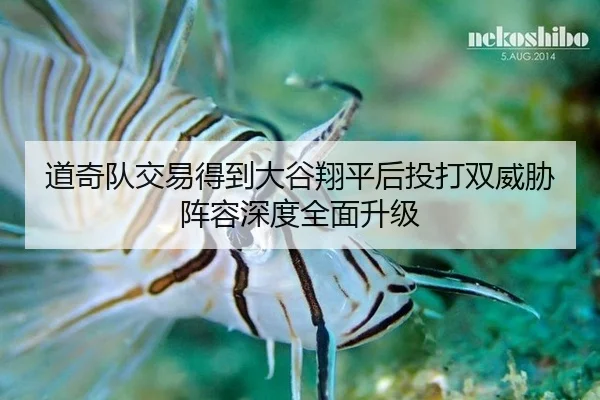 道奇队交易得到大谷翔平后投打双威胁阵容深度全面升级