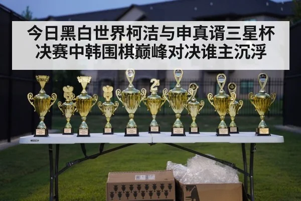 今日黑白世界柯洁与申真谞三星杯决赛中韩围棋巅峰对决谁主沉浮